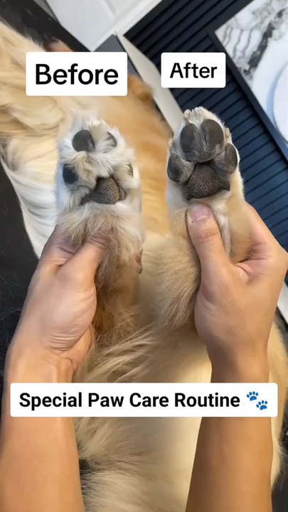 Struggling with pet paw hair? 🐶💥 LED light + wide blade = smooth, stress-free grooming at home! Waterproof, safe & powerful. Order now before it’s gone!