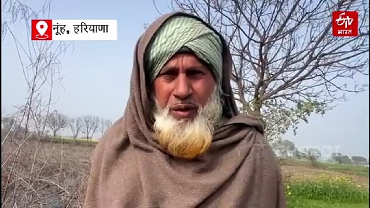 नूंह में जलभराव से किसान परेशान, खेतों में फसल नहीं अब मछली पकड़ने को मजबूर, सरकार से मुआवजे की मांग