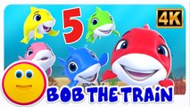 Five Little Sharks Adventure | Nursery Rhymes & Baby Songs for Kids | Kids TV