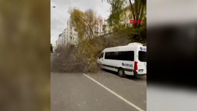 Samsun'da fırtına; ağaçlar devrildi