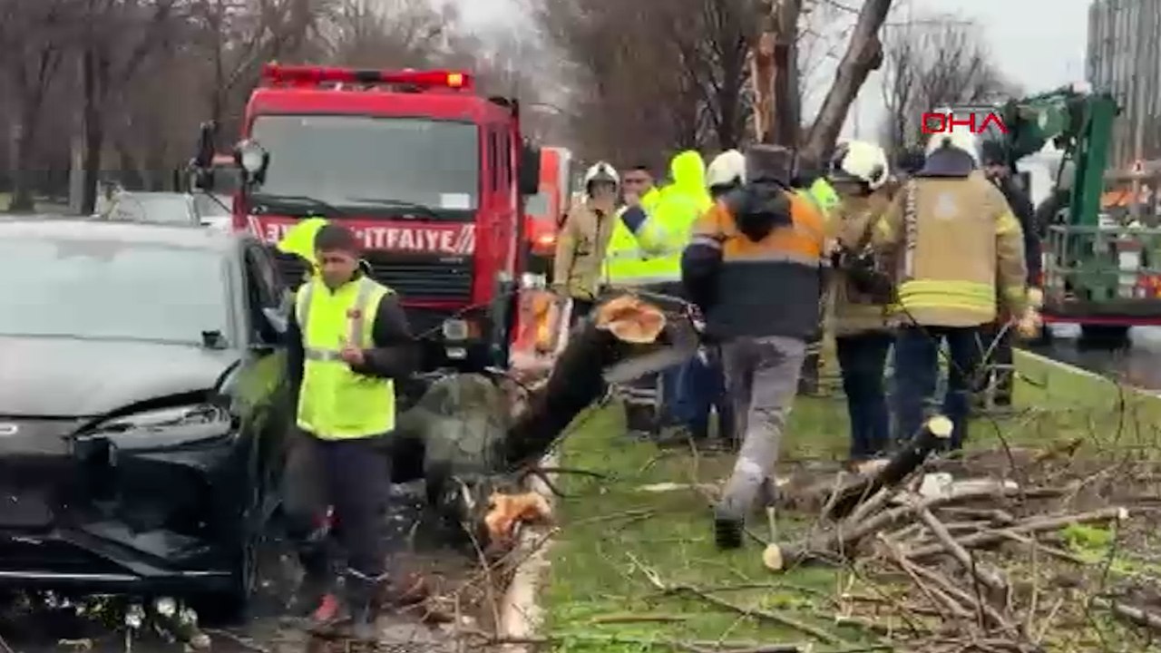 Bakırköy'de rüzgar nedeniyle kopan ağaç dalı otomobilin üzerine düştü; 4 araç birbirine girdi