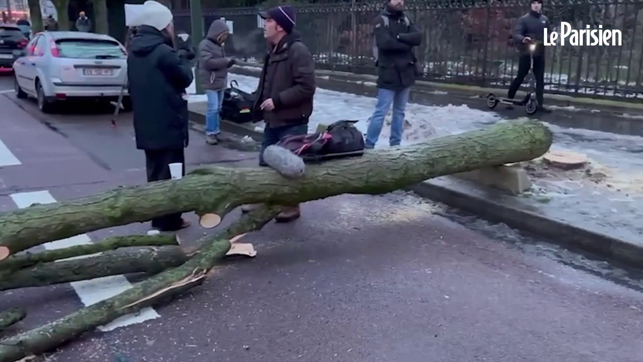 Colère des agriculteurs : un arbre coupé à la Porte d'Auteuil