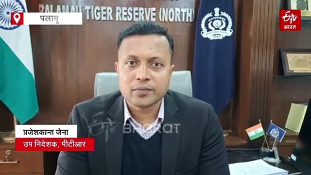 पलामू में विदेशी मेहमानों का जमावड़ा, कमलदह झील बनी इन प्रवासी पक्षियों की पसंदीदा जगह
