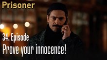 Prove your innocence!-Episode 34