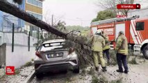 İstanbul'da fırtına etkili oluyor