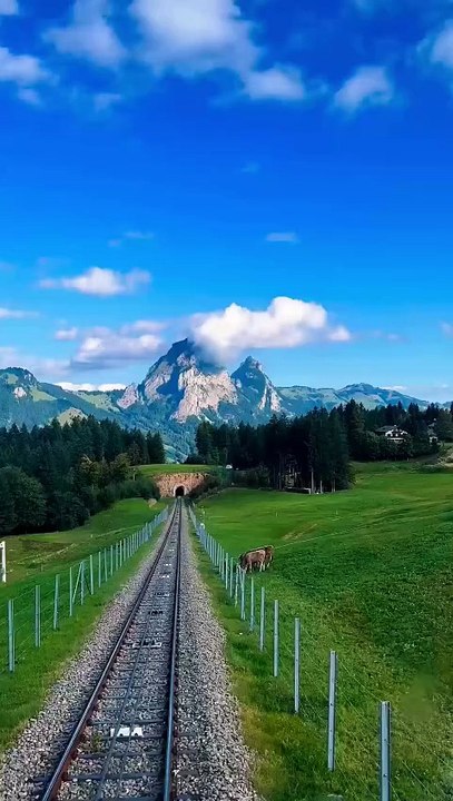 Relaxing Piano with Beautiful Nature Scenery