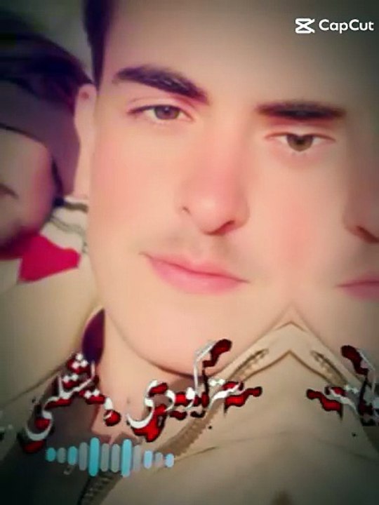 Stargo de wazaliym