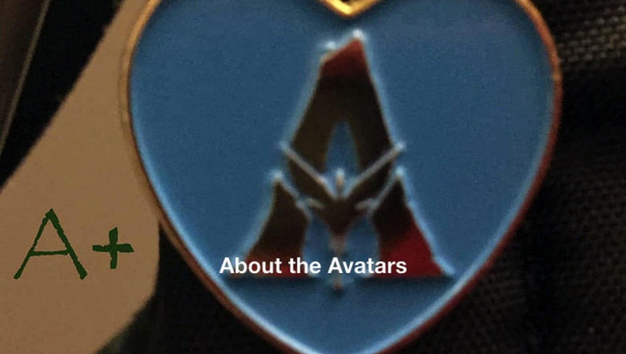 About the Avatars