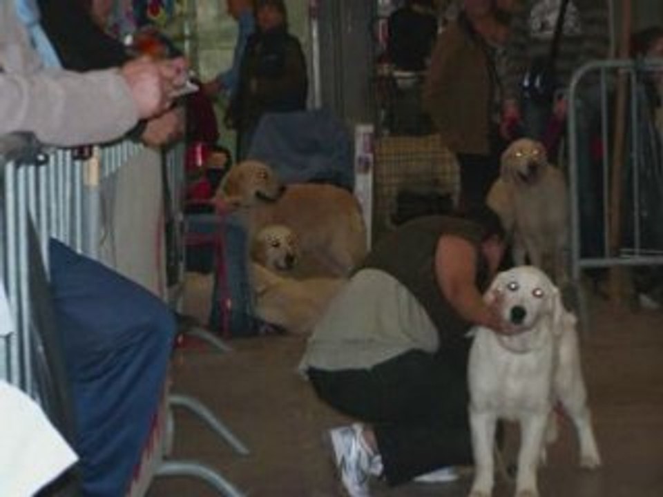 Concours Béziers 25 mai 2008