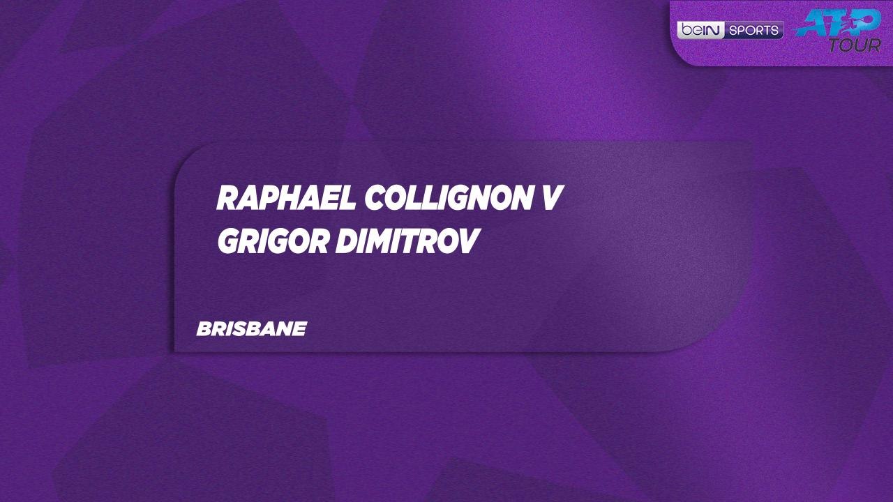 R. Collignon vs. G. Dimitrov Match Highlights B...