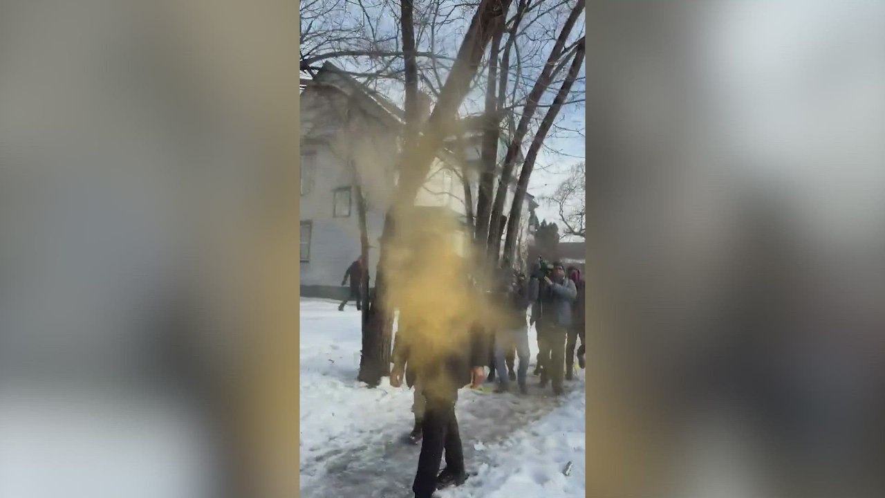 Anti-ICE protester reaches for federal agent's weapon in Minneapolis
