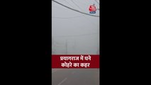 प्रयागराज में घने कोहरे की चादर; Video