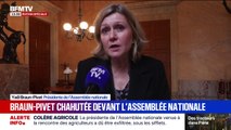 Colère des agriculteurs: Yaël Braun-Pivet exfiltrée après avoir été chahutée devant l'Assemblée nationale