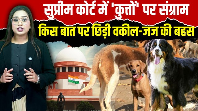 Supreme Court on Stray Dogs: कुत्तों के आतंक पर सुप्रीम कोर्ट में महाभारत, सुनवाई की 6 बड़ी बातें