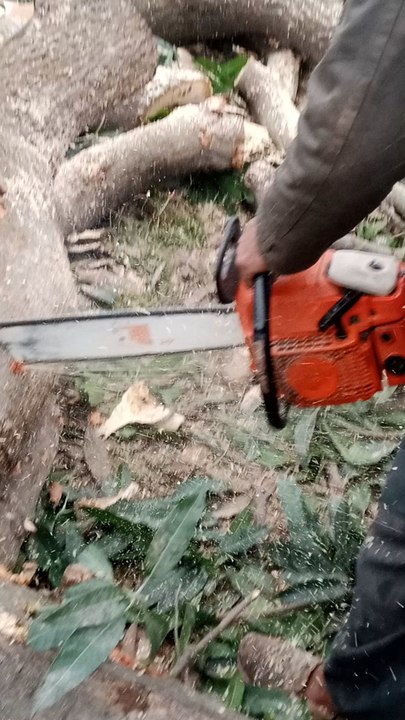 🔥 Best Title (High Views)Satisfying 4 Screen Wood Cutting Work | 1 Minute Hard Work(اگر اردو چاہیں) چار اسکرین میں لکڑی کا زبردست کام | 1 منٹ کی محنتvery yah bahut acchi video hai mehnat wali hai