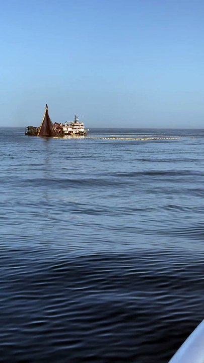 Nature , Ocean and Fishing