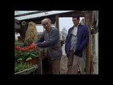 Minder. S03 E07. The Birdman of Wormwood Scrubs.