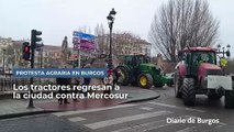 Los tractores regresan a la ciudad contra Mercosur
