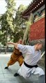 This Fight Will Make Your Fists Clench! The monks move like a storm—swift, explosive, and utterly intense