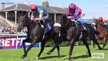 G2 Flying Childers Winner Aesterius Joins Bearstone