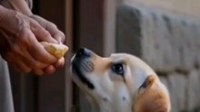 your help someone never gets wasted.its Karma