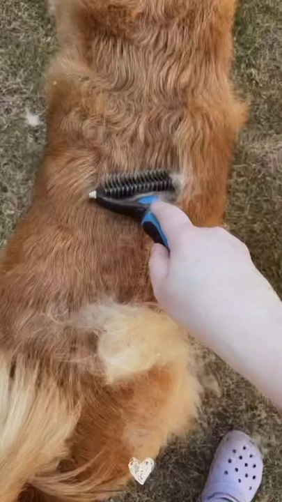 Hidden fur = skin problems 😖Remove loose hair before it causes damageStrong • Safe • Stainless Steel🛒 Buy now