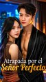 Atrapada por el Señor Perfecto - Completo En Español