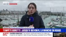Tempête Goretti: en alerte rouge, la Manche se prépare