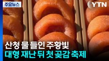 산불·수해 뒤 첫 곶감 축제...산청서 펼쳐진 주황빛 향연 / YTN