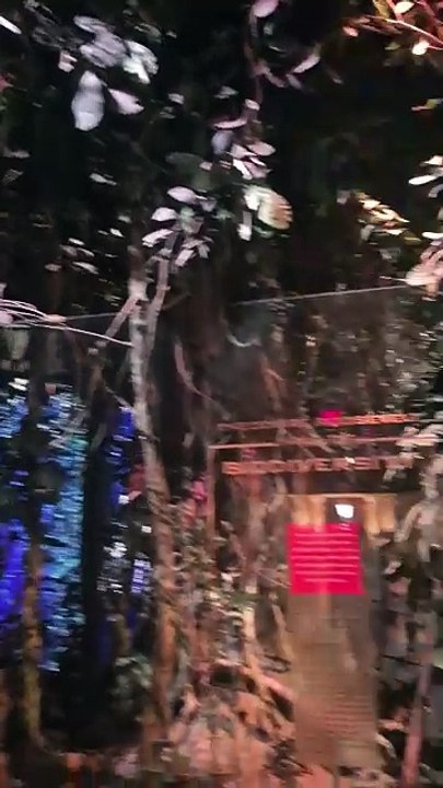 Le musée d'histoire naturelle à New York ! EP.6 #USA #NewYork #NYC