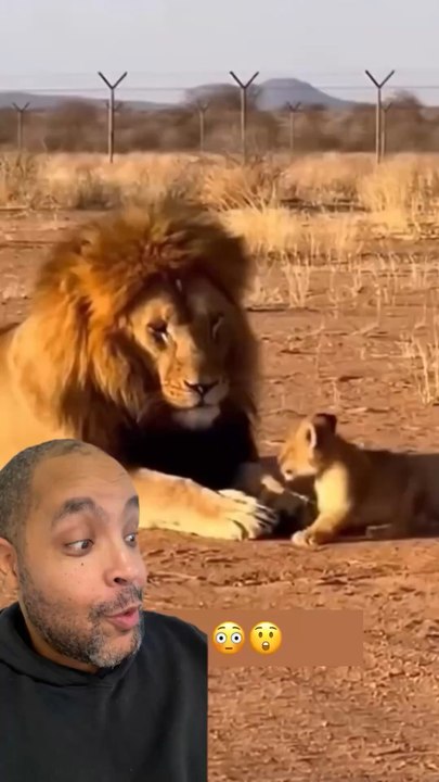 C'est qui le patron 🤣( j'ai l'impression que cette vidéo a été générée par une iA mais je n'en suis pas sûre)  #humour #drole