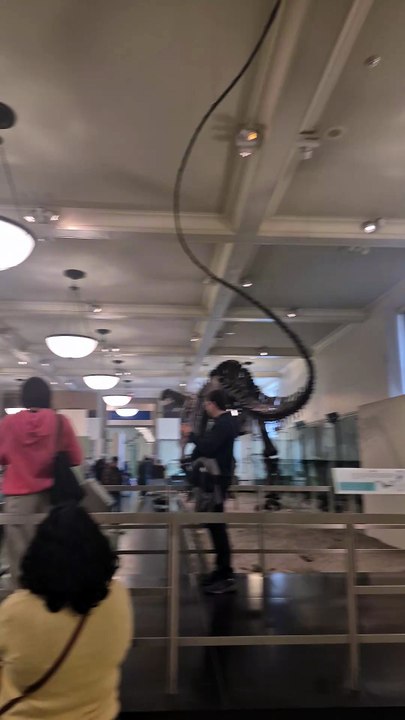 Le musée d'histoire naturelle à New York ! EP.5 #USA #NewYork #NYC