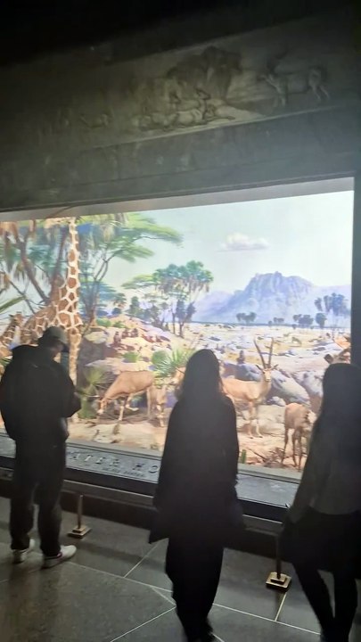 Le musée d'histoire naturelle à New York ! EP.8#USA #NewYork #NYC