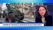 Eugénie Bastié : «Nous n'avons pas les mêmes intérêts que l'Allemagne.»