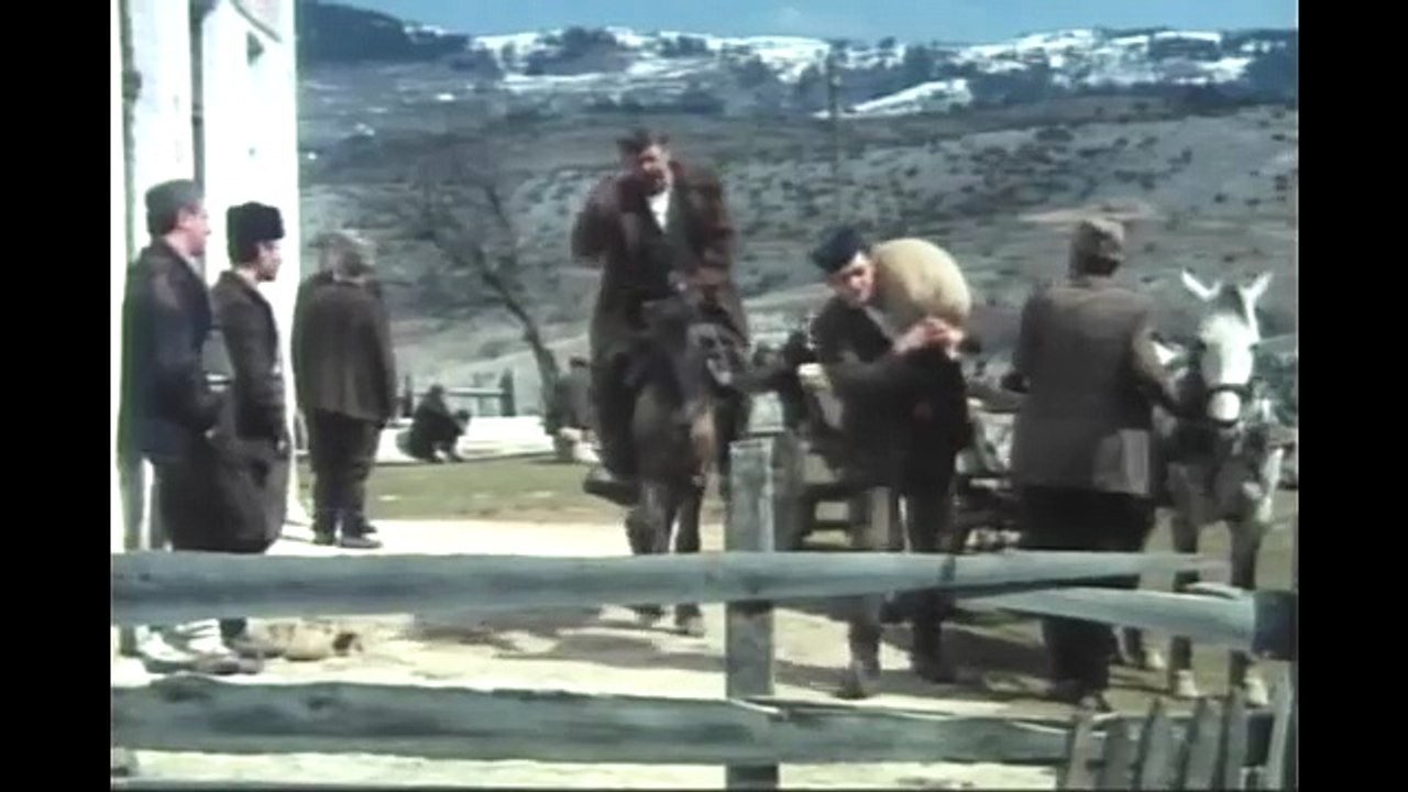 O pokojniku sve najlepse 1984 - Ceo domaci film