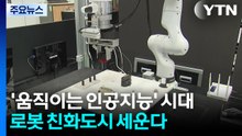 ’움직이는 인공지능’ 시대...로봇 친화도시 세운다 / YTN