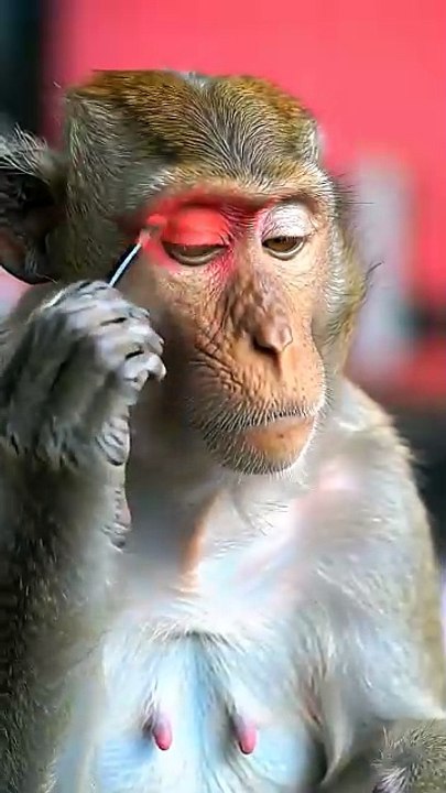 #FunnyVideo #ComedyTime #TryNotToLaugh #FunniestMoments #LOL #CrazyFun #EpicFails #LaughAttack #JustForFun #DailyLaughs   #Haha #ROFL #FunVibes #SillyMoments #LaughterZone #ComedyClips #ViralLaughs #HumorHub #GoodVibesOnly #HilariousAF   #PakistaniFunny #