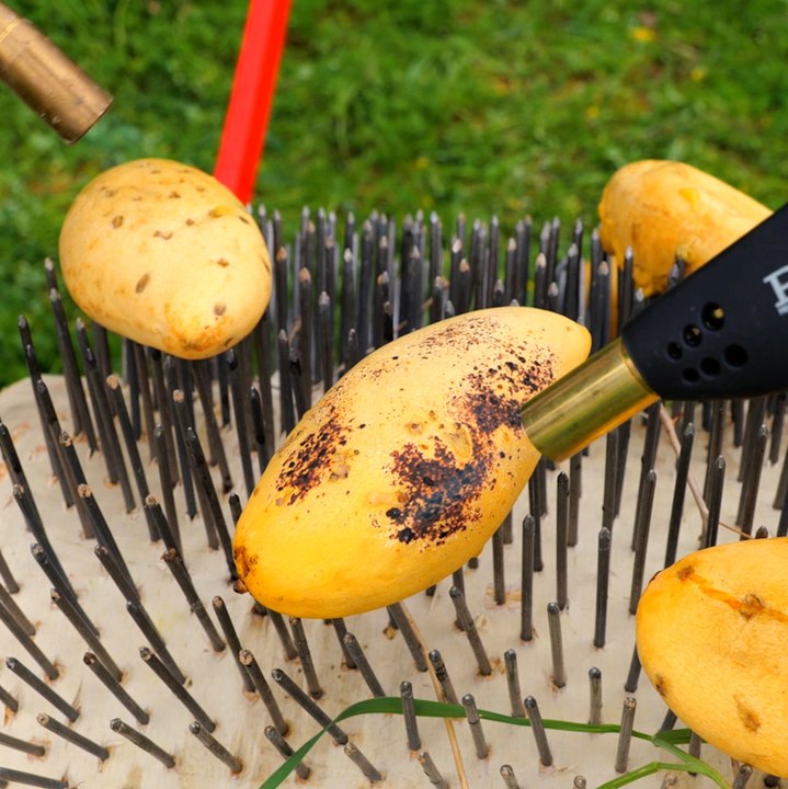 Unbelievable process of creating an iconic leather top out of Mangoes 🥭 #ecofriendly #natural #magoes #craft #fyp #greenlife