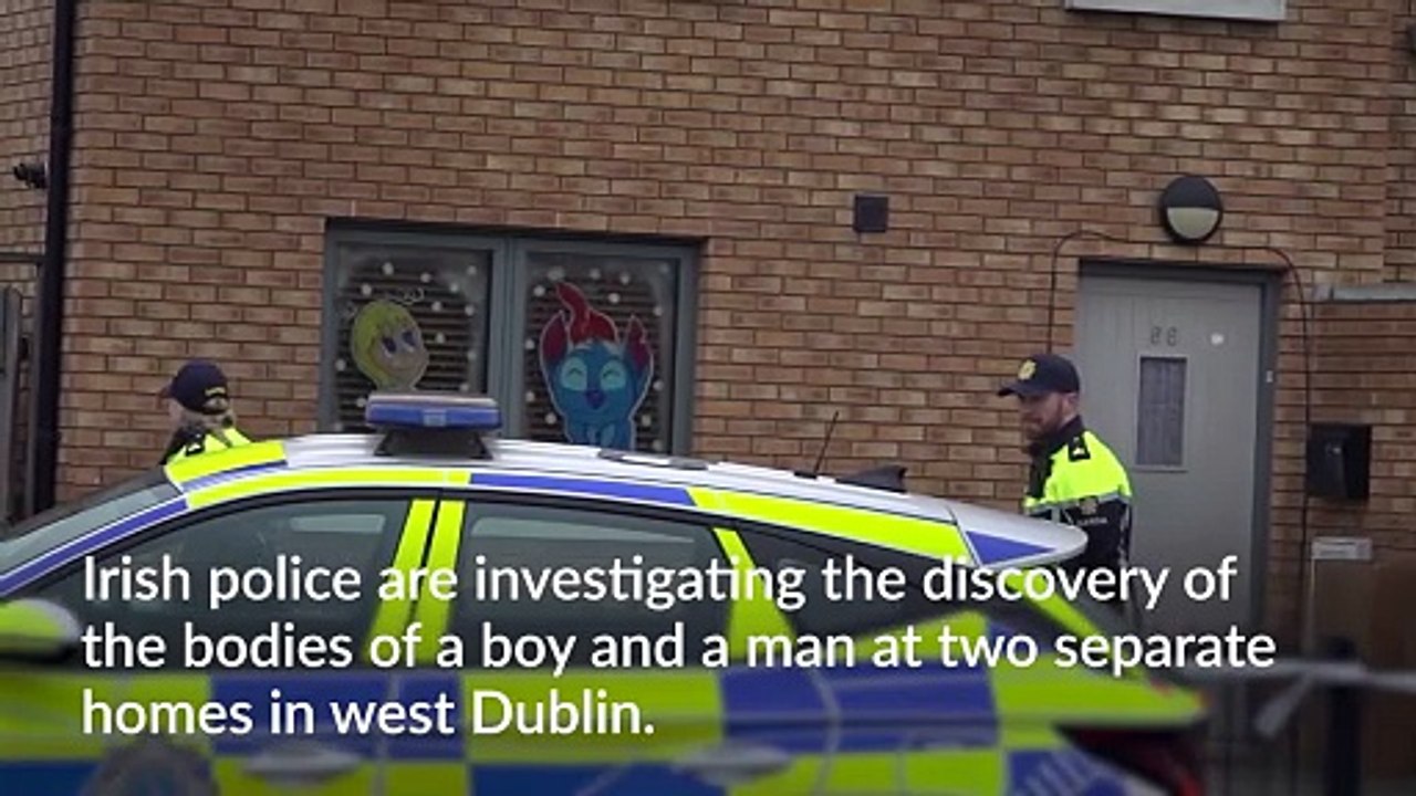 Bodies of boy and man removed from separate Dublin homes