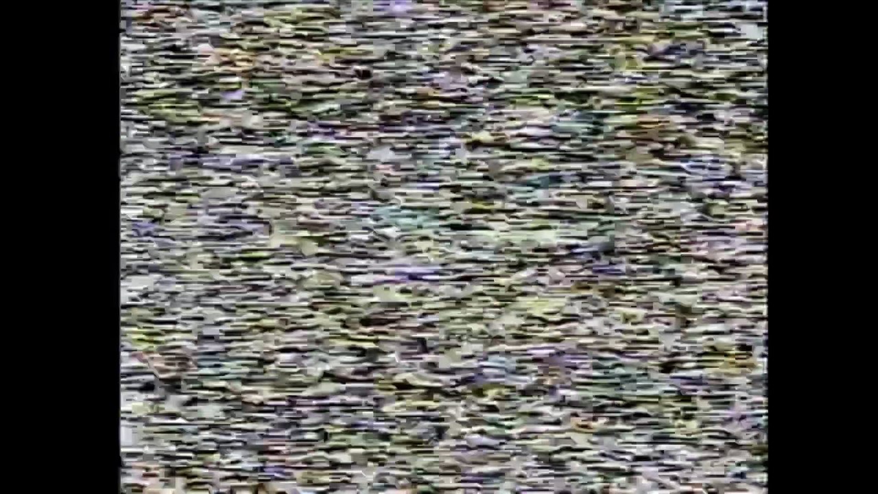 I burned videos of MingalaBae on a DVD-R