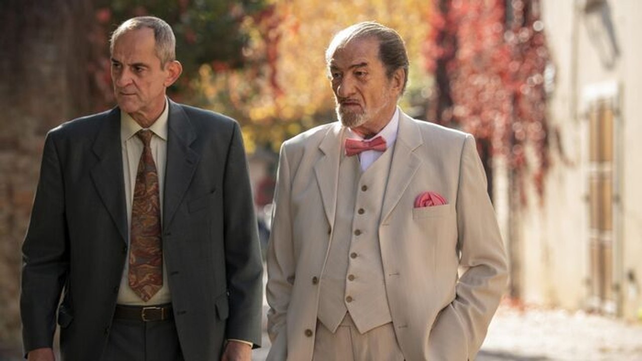 Les Vieux Fourneaux 2 : bons pour l'asile