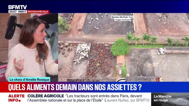 LE CHOIX D'AMÉLIE - Mercosur: quels changements sur nos aliments demain dans nos assiettes ?