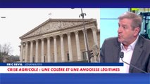 Eric Revel : «Le Mercosur est la goutte qui fait déborder le vase.»
