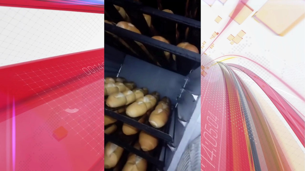 Rato é filmado andando sobre pães em supermercado