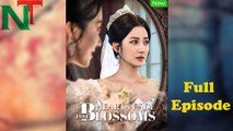 Love Blossoms, Hearts Fade Full Episode