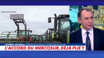 Laurent Jacobelli : «Les agriculteurs sont lâchés en rase campagne, c’est terrifiant»