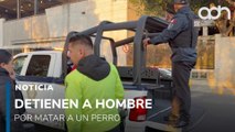 Detienen a hombre por matar perros en Insurgentes Norte