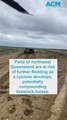 Queensland farmers readying for potential livestock losses as cyclone, flooding hits