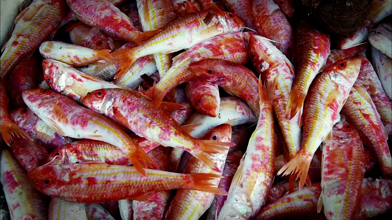 Anthony Bourdain Parts Unknown S01E06 Libya  (1080p x265 10bit Joy)