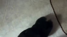 Agozzino Alfredo con il piccolo katy